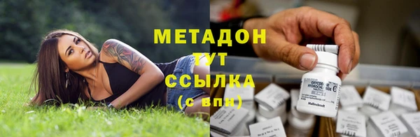 мет Алексин