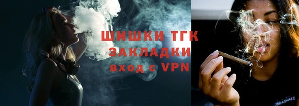 прущий лед Алзамай