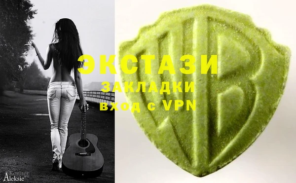 мет Алексин