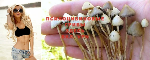 прущий лед Алзамай