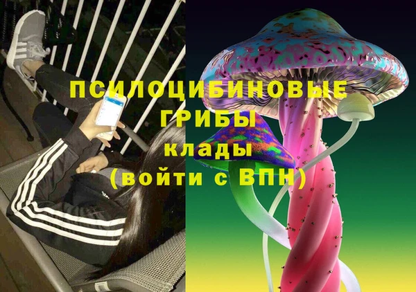 прущая мука Армянск
