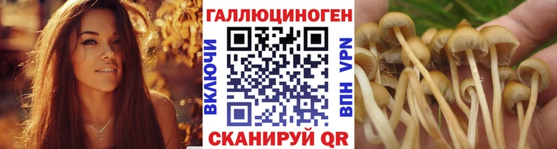 Галлюциногенные грибы Magic Shrooms  Рошаль 